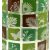 Storage jar 1000 ml - botanica
