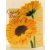 Storage bottle 400 ml - daisy