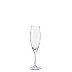 Sophia champagne flute 230 ml