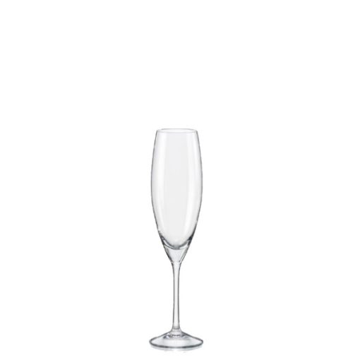 230ml Sophia champagne flute